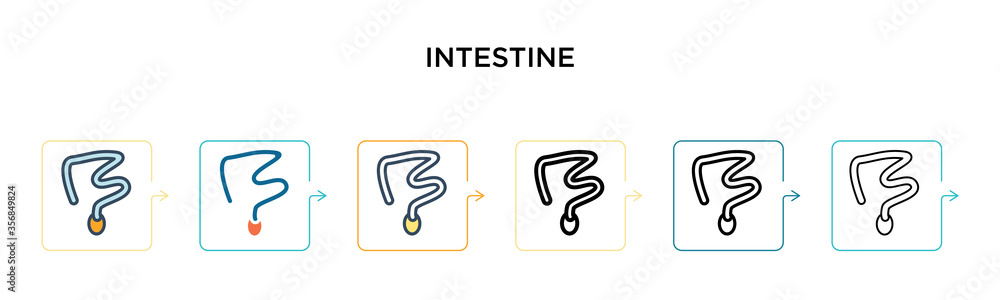 Poster intestine vector icon in 6 different modern styles. black, two colored intestine icons designed in f
