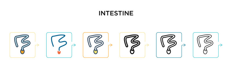 Intestine vector icon in 6 different modern styles. Black, two colored intestine icons designed in filled, outline, line and stroke style. Vector illustration can be used for web, mobile, ui