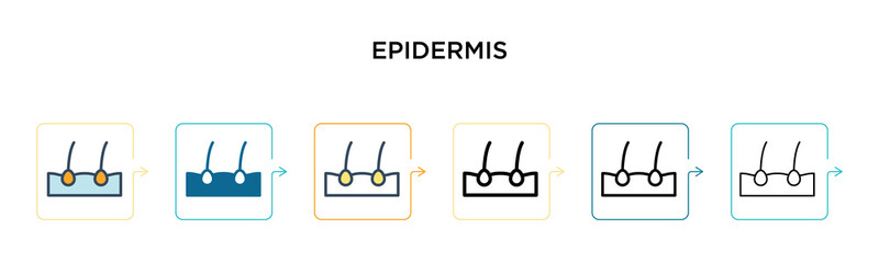 Epidermis vector icon in 6 different modern styles. Black, two colored epidermis icons designed in filled, outline, line and stroke style. Vector illustration can be used for web, mobile, ui