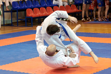 martial arts, wrestling on a tatami, two rivals
