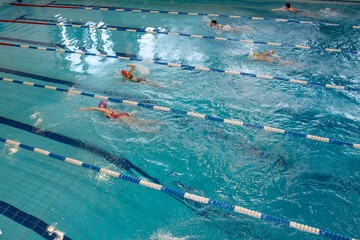 swimmers train in the pool