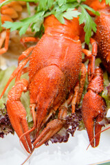 red boiled crab on the holiday tabl