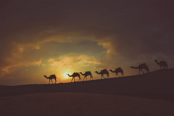Camel group caravan going through the desert