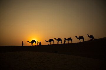 Camel caravan going through the desert people follow them