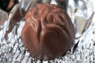 Chocolate muffin closeup