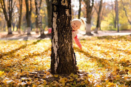Little girl playing in autumn park. Child girl playing hide and seek peeps from behind a tree, autumn background.