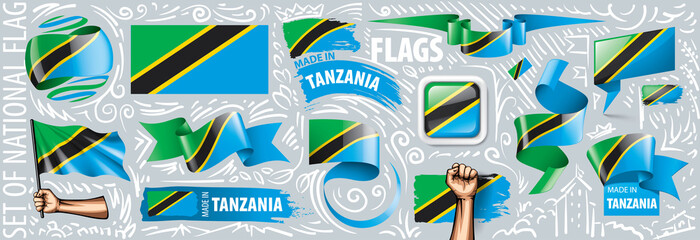 Vector set of the national flag of Tanzania in various creative designs