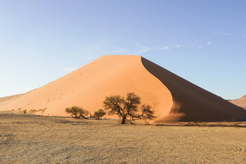 Fototapeta na wymiar Namib Naukluft Nationalpark in Namibia