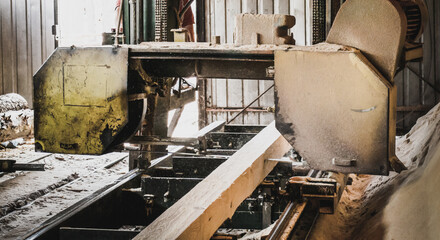 Sawmill. Process of machining logs in sawmill machine saws the tree trunk