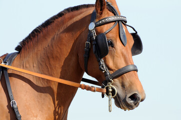 Fahrsport © lichtreflexe