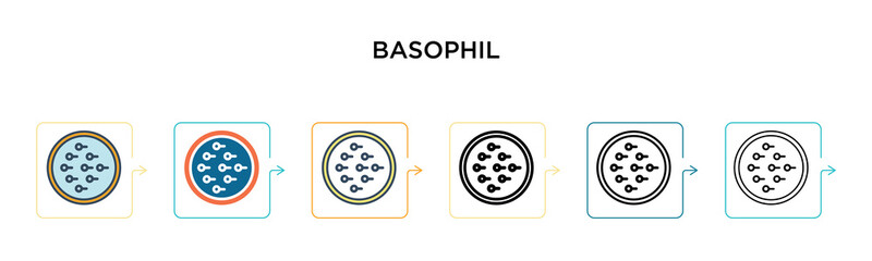 Basophil vector icon in 6 different modern styles. Black, two colored basophil icons designed in filled, outline, line and stroke style. Vector illustration can be used for web, mobile, ui