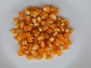 Corn kernel in white background