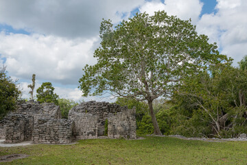 The ruins of the ancient Mayan city of Kohunlich, Quintana Roo, Mexico