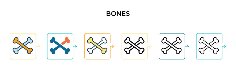 Bones vector icon in 6 different modern styles. Black, two colored bones icons designed in filled, outline, line and stroke style. Vector illustration can be used for web, mobile, ui