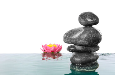 Spa stones and flower in water against white background