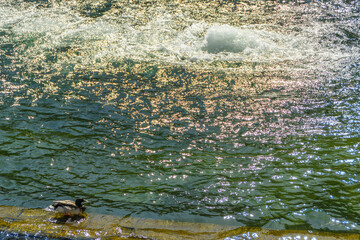 ニーム　フォンテーヌ庭園