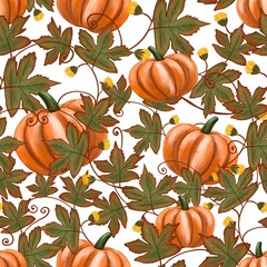 Autumn seamless pattern with pumpkins and leaves. White background. Autumn background for design