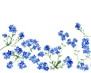 Card with a watercolor frame of forget-me-not wildflowers on a white background, watercolor. For your design, greeting cards, wedding invitations.