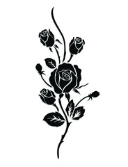 Obraz premium black rose vector illustration