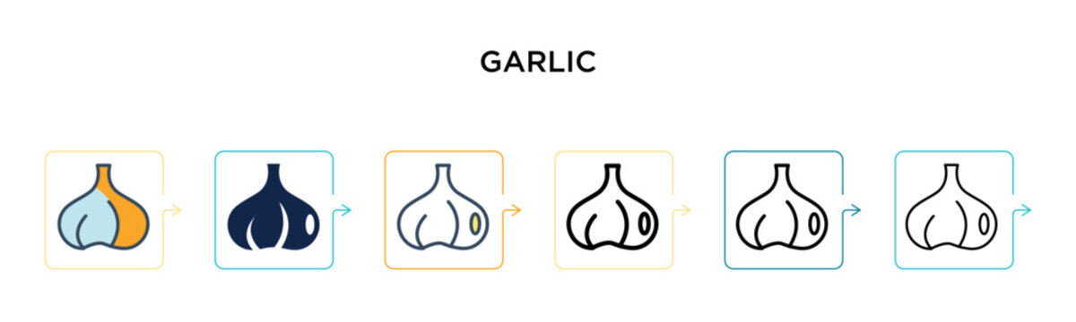 Garlic vector icon in 6 different modern styles. Black, two colored garlic icons designed in filled, outline, line and stroke style. Vector illustration can be used for web, mobile, ui