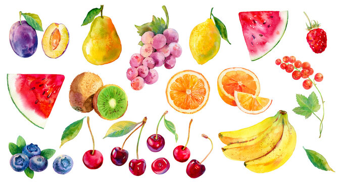 Watercolor fruits big set. Bright and colourful plum, pear, grapes, lemon, watermelon, kiwi, raspberry, orange, cherry, blueberry, bananas