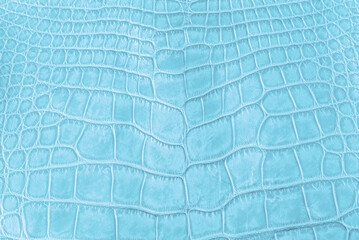 Genuine Large Alligator Upper Belly Leather. Sky Blue, 50cm Width.