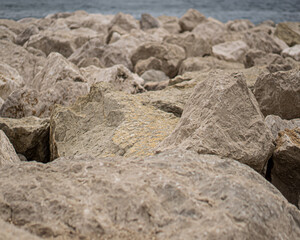 Rocky sea beach 