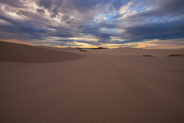 Fototapeta na wymiar Beautiful light over the sand dunes of Myall Lakes National Park.East Coast of N.S.W. Australia