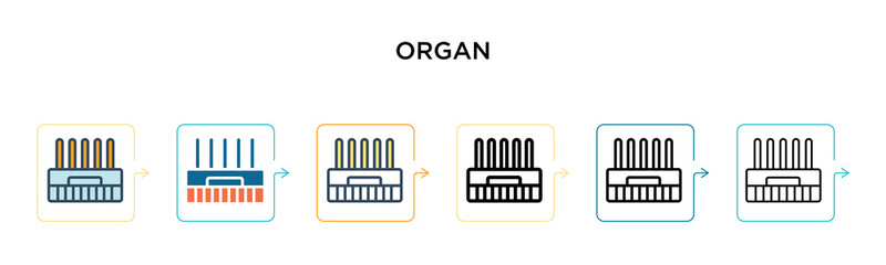 Organ vector icon in 6 different modern styles. Black, two colored organ icons designed in filled, outline, line and stroke style. Vector illustration can be used for web, mobile, ui
