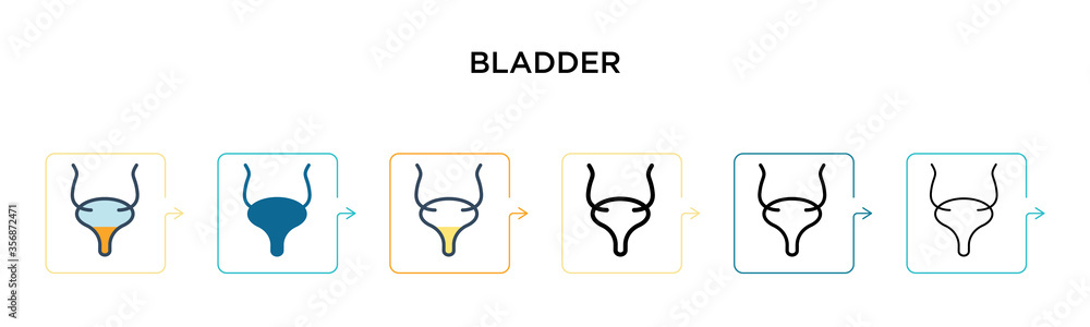 Poster bladder vector icon in 6 different modern styles. black, two colored bladder icons designed in fille