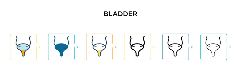 Bladder vector icon in 6 different modern styles. Black, two colored bladder icons designed in filled, outline, line and stroke style. Vector illustration can be used for web, mobile, ui