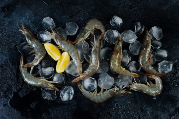 Raw king shrimp in a shell with ice on a concrete background, top view