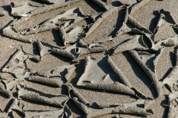 drought cracked a clay surface