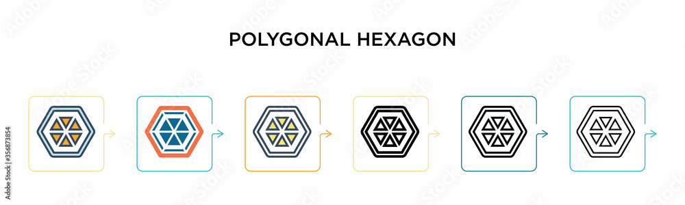 Poster polygonal hexagon vector icon in 6 different modern styles. black, two colored polygonal hexagon ico