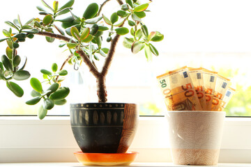 Concept - Paper money grows in a flower pot. The economic growth. Salary growth. The growth of interest on the loan. The background is white.