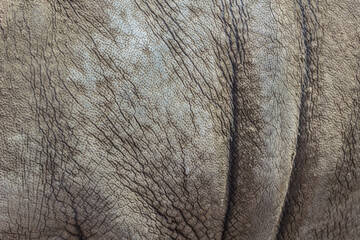 Natural background. Leather surface. Pattern and cracks in the skin of the animal. Folds on the...