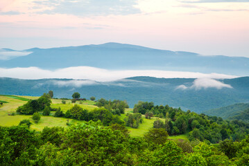 beautiful landscape of green meadows on a background of mountains in the fog. time of day morning.