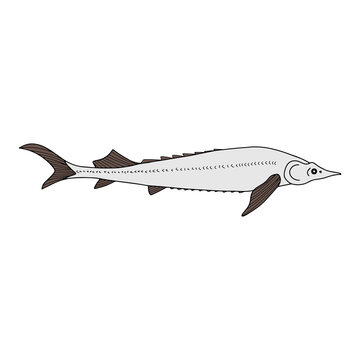 recommend clip art: Doodle red fish, sturgeon icon. Seafood symbol. Logo template. Hand drawing art line. Symbol of fishing club or online shop. Restaurant menu. Coloring vector stock illustration. EPS 10