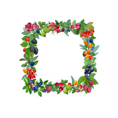 Square frame from the berries