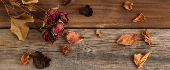 薔薇のドライフラワー、バラの花びら、秋、背景素材