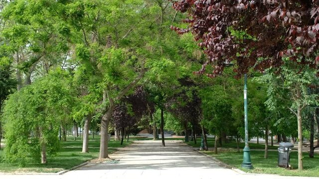 Istanbul&rsquo;s famous park (gezi parki) which would be usually jam-packed with locals and tourists alike, now almost empty due to the coronavirus (Covid-19) pandemic.