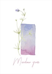 Ready-to-print Meadow Grass card made of isolated watercolor grass elements and handmade gradient stain. Illustration.