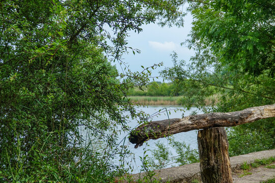 Norderteich