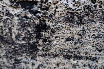 Background blurred texture of concrete patterns displayed