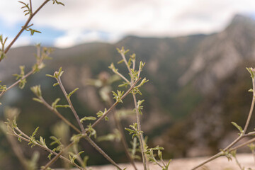 montagne
