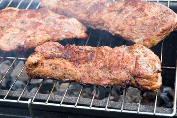 grilled meat on the grill