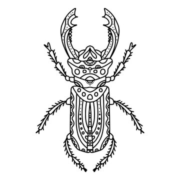 Vector antistress coloring book with beetle with horns, a series of coloring pages with insects. Coloring page with small details. Stag beetle black and white coloring line art