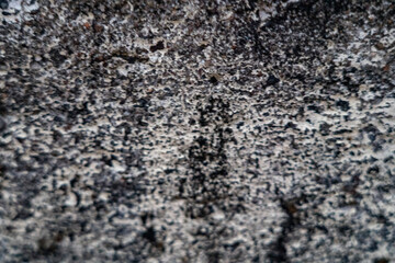 Background blurred texture of concrete patterns displayed