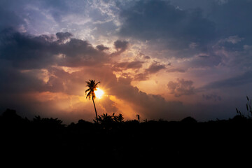 Obraz na płótnie Canvas Silhouette of single coconut tree in sunset.