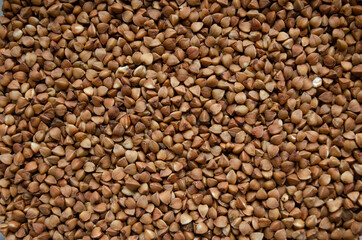 buckwheat groats closeup. buckwheat background